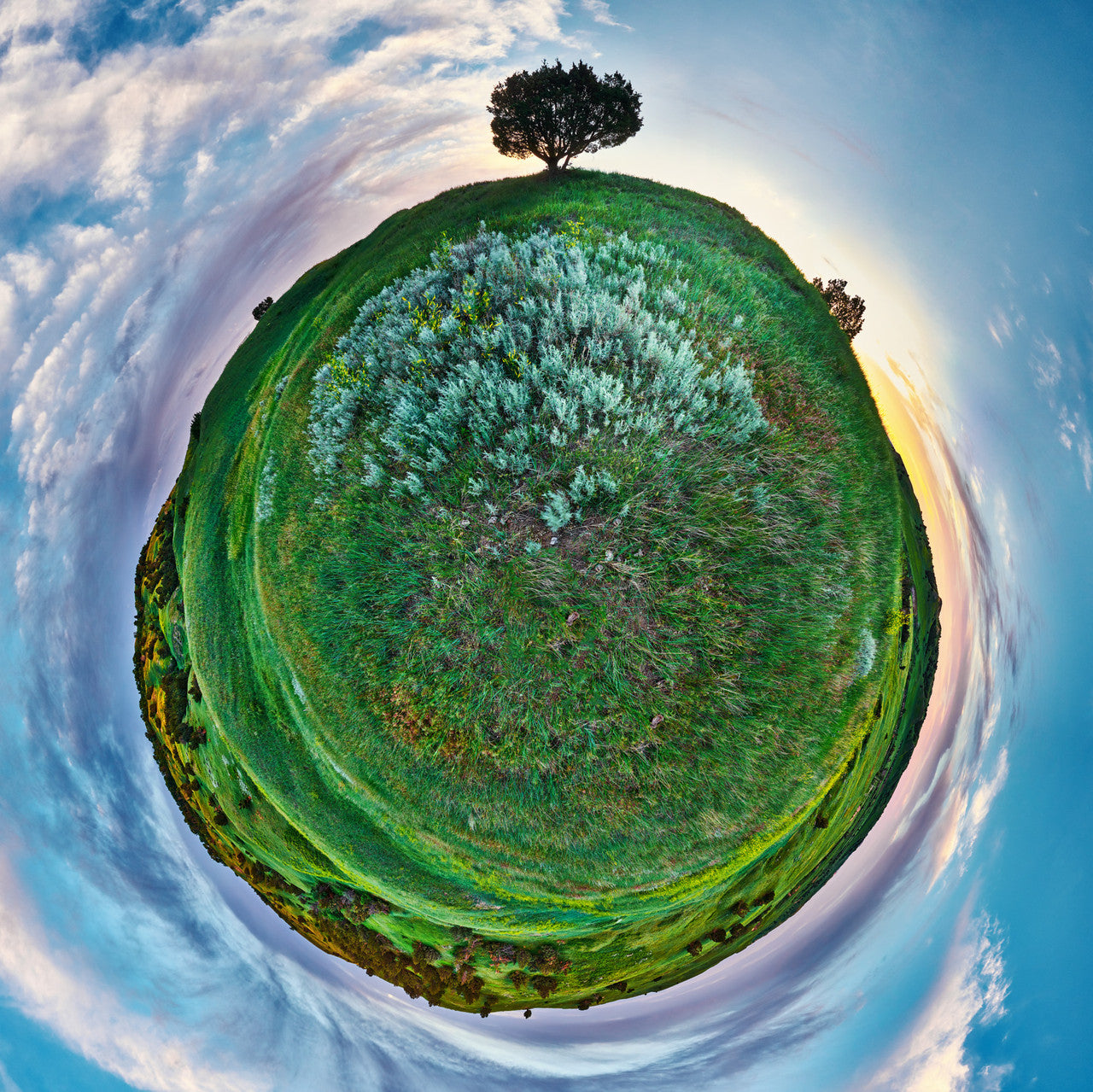 360-degree panoramic view of grasslands and a solitary tree in Badlands National Park at sunrise, forming a spherical landscape.