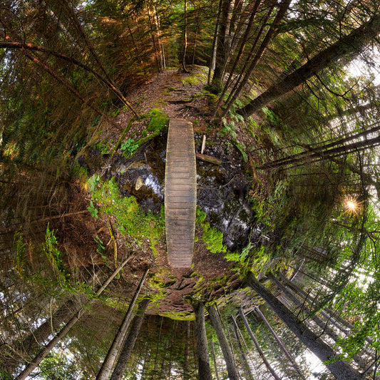 Spherical panoramic photograph of a wooden footbridge in Cathedral Woods, surrounded by towering evergreens and morning light, with moss-covered rocks and ferns creating a natural spiral pattern.