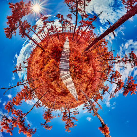 Spherical panoramic infrared photograph of Saco Heath, featuring a wooden boardwalk cutting through brilliantly red vegetation, creating a perfect circular landscape against a deep blue sky with radiating sunburst.