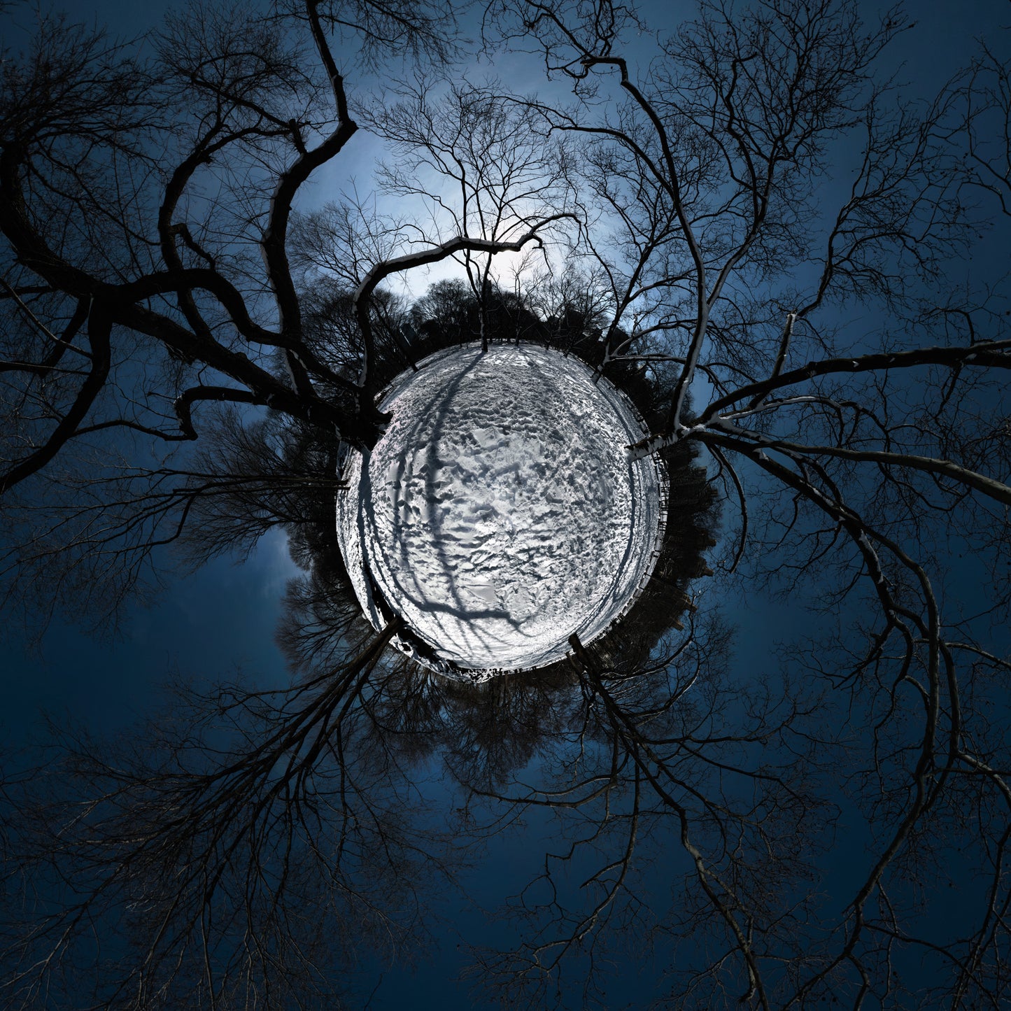 A 360-degree panoramic photograph of Central Park in winter, featuring silhouetted bare trees radiating outward against a deep blue sky, surrounding a bright snow-covered ground.